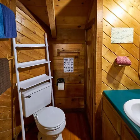 Gatlinburg Area Hottub Cabin - Ladyslipper Sevierville Extérieur photo