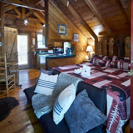 Gatlinburg Area Hottub Cabin - Ladyslipper Sevierville Extérieur photo