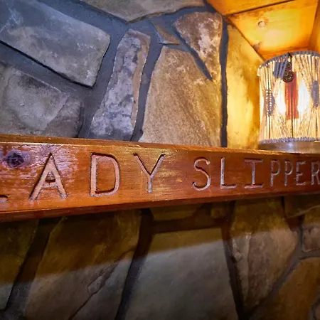 Gatlinburg Area Hottub Cabin - Ladyslipper Sevierville Extérieur photo