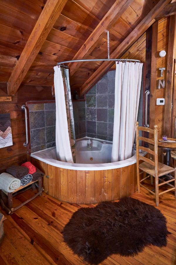 Gatlinburg Area Hottub - Ladyslipper Chalet *