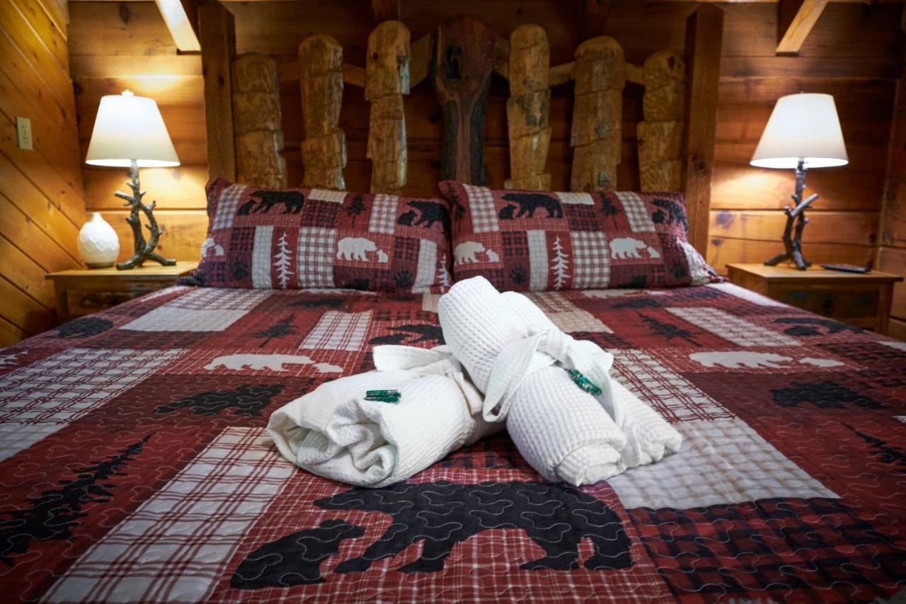 Gatlinburg Area Hottub - Ladyslipper Chalet