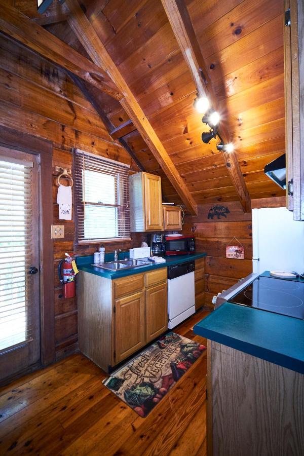 Chalet Gatlinburg Area Hottub - Ladyslipper *