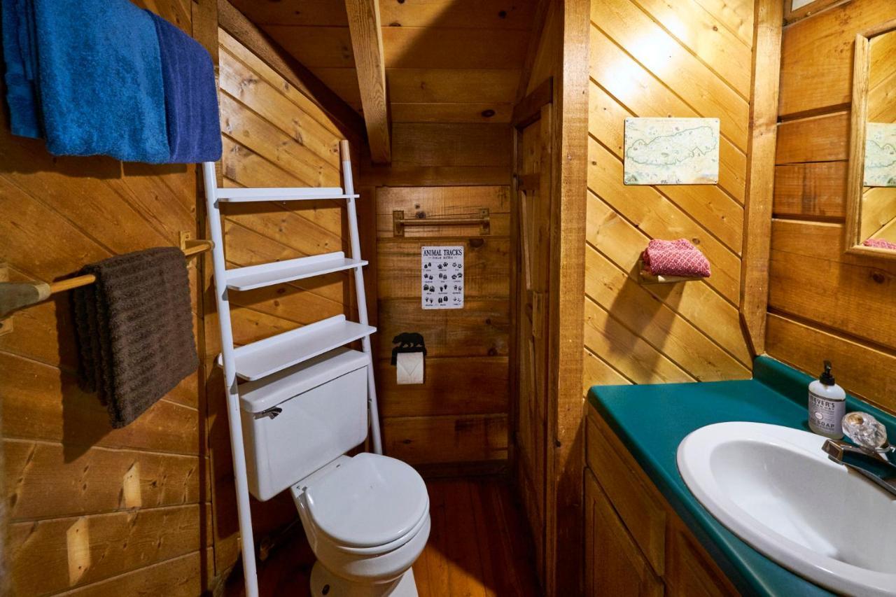 Gatlinburg Area Hottub - Ladyslipper Chalet Sevierville