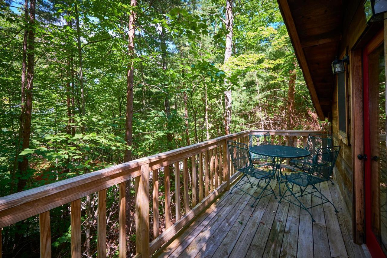Gatlinburg Area Hottub - Ladyslipper Chalet