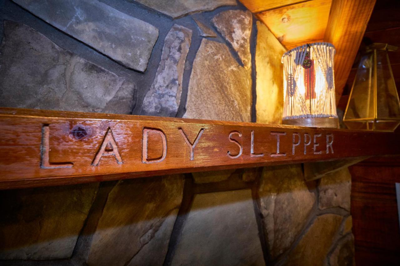 Gatlinburg Area Hottub - Ladyslipper Chalet *